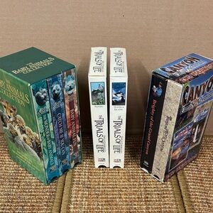 7 VHS Wildlife Collection of Baby Animals, Trials of Life, Family Adventures